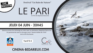 " Le Pari " ciné-débat